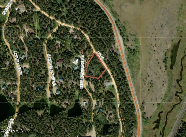 a close up of a plant