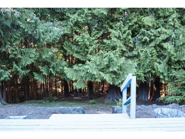 a view of a house with a tree