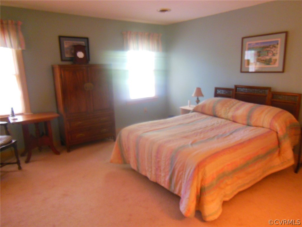 14207 Long Hill Road Midlothian, VA 23112 - Photo 11 of 21 Master bedroom