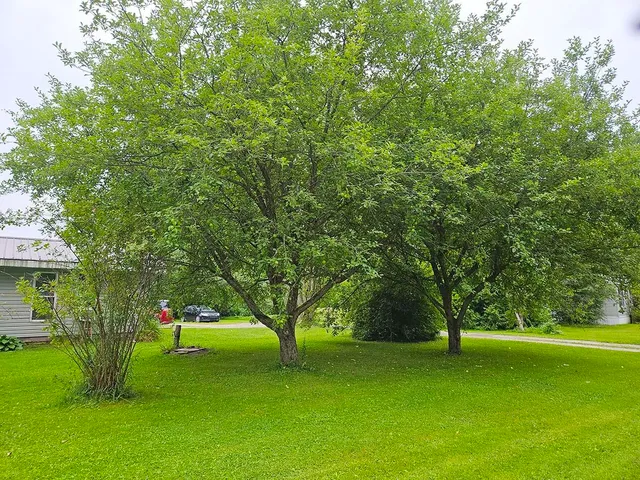 $545,000 | 123 Lake Street, Swanton, VT 05488