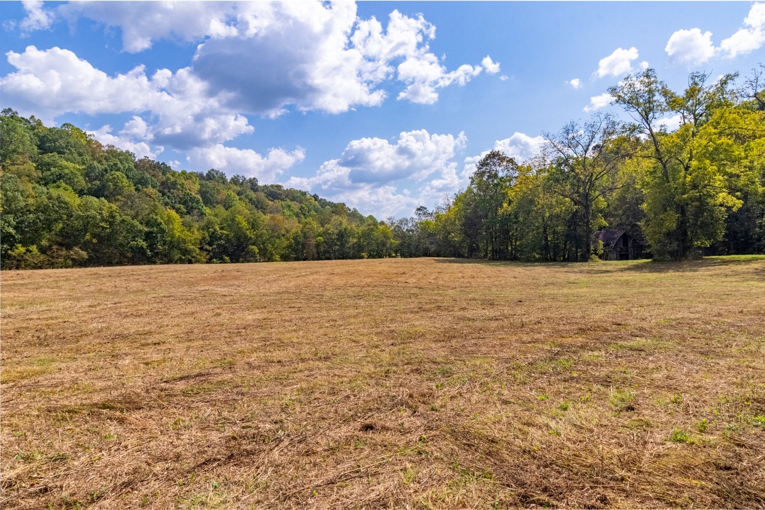 0 Casparis Road Columbia, TN 38401 - Photo 12 of 59 a view of a lake view