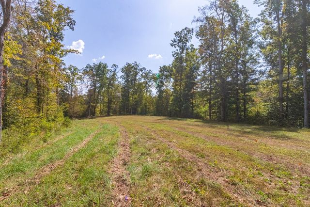 a yard with trees in the background