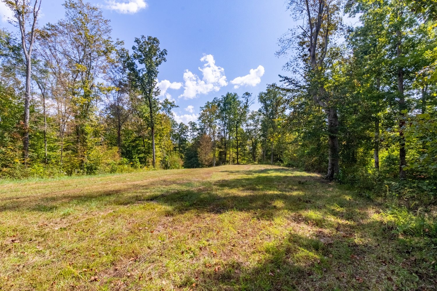 0 Casparis Road Columbia, TN 38401 - Photo 14 of 59 a view of a yard with swimming pool