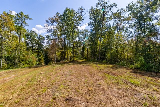 a view of empty yard with large trees