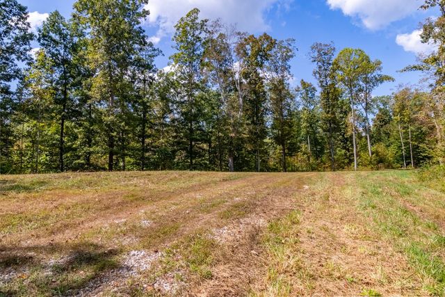 a view of a yard with a tree