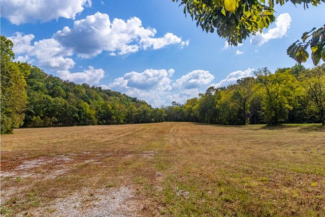 a view of a big yard