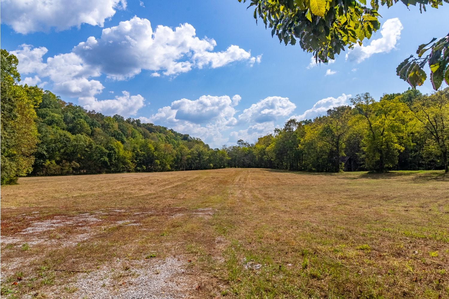 0 Casparis Road Columbia, TN 38401 - Photo 19 of 59