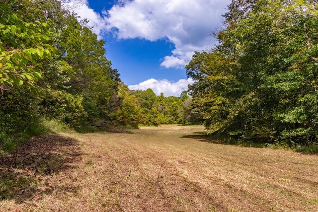 a view of backyard with green space