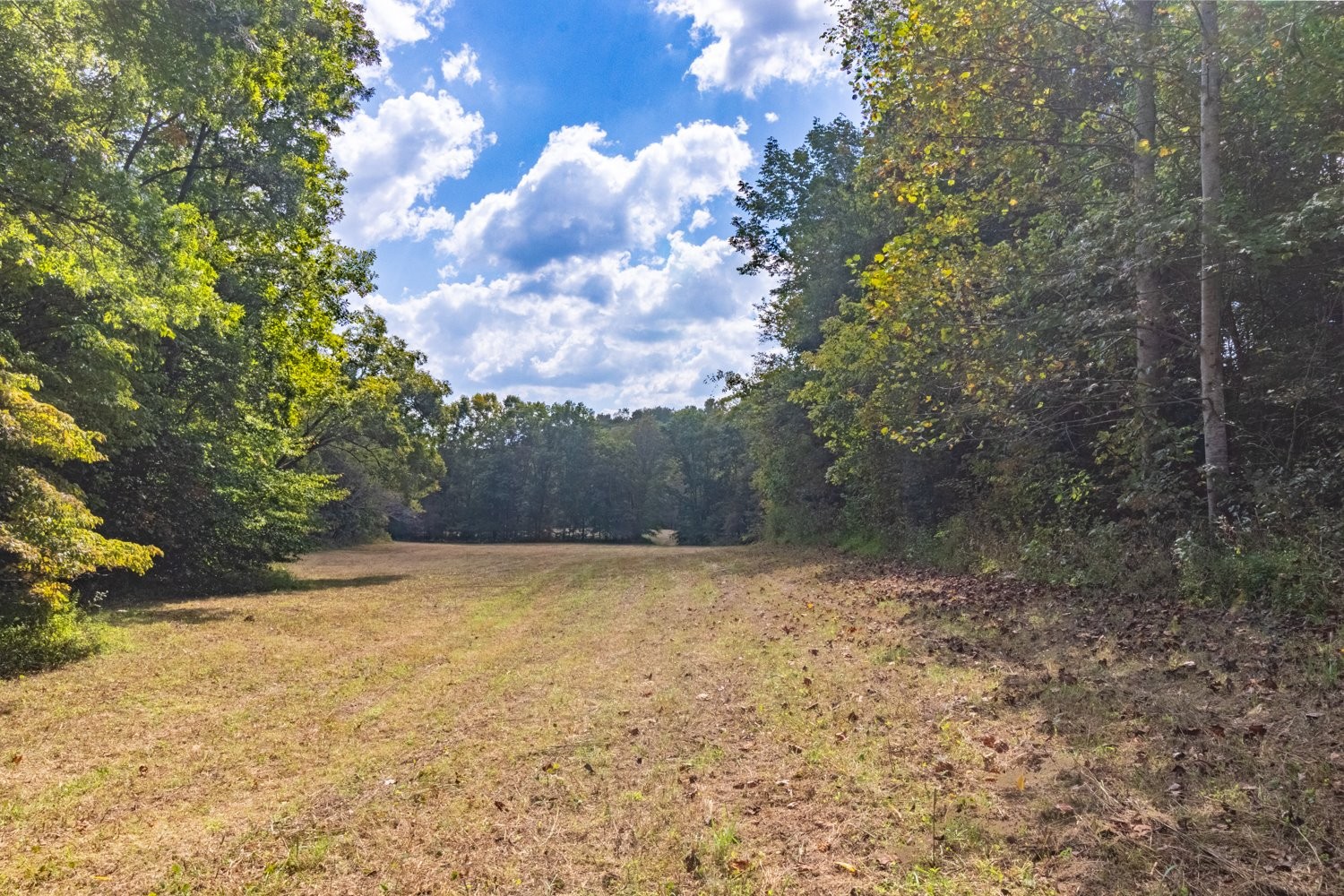 0 Casparis Road Columbia, TN 38401 - Photo 23 of 59 a view of backyard with green space