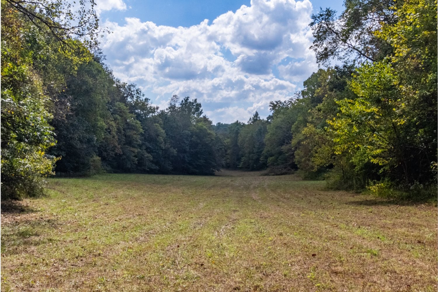 0 Casparis Road Columbia, TN 38401 - Photo 25 of 59