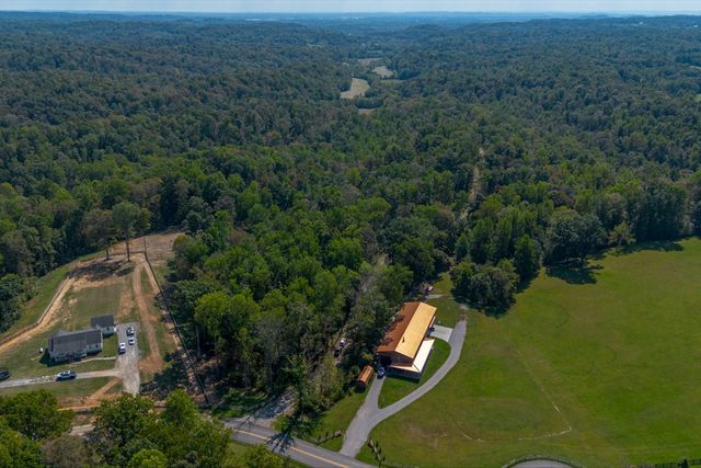 a view of a lush green forest