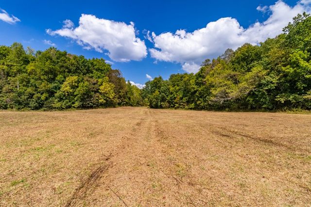a view of a yard with a tree
