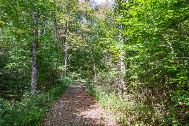 a view of a lush green forest with trees and some houses