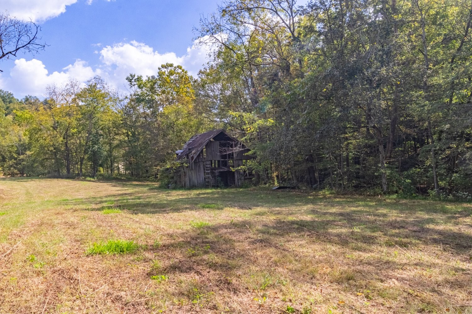0 Casparis Road Columbia, TN 38401 - Photo 35 of 59 a view of a yard with a tree