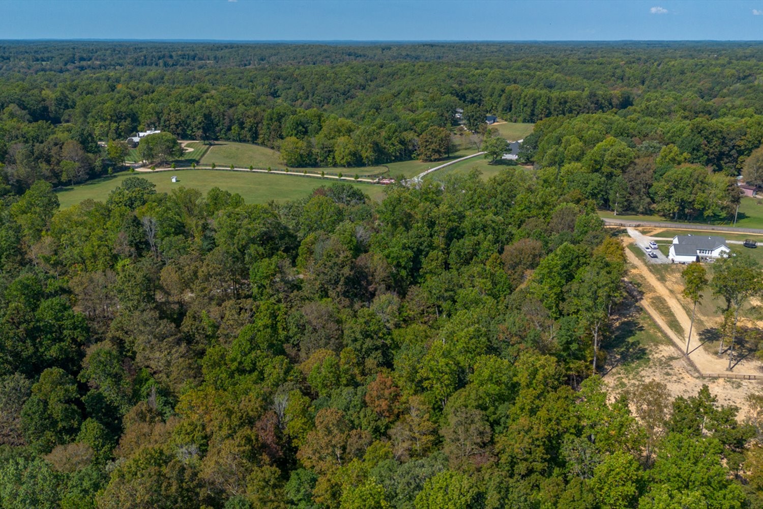 0 Casparis Road Columbia, TN 38401 - Photo 38 of 59 a view of a lush green forest with trees and some houses