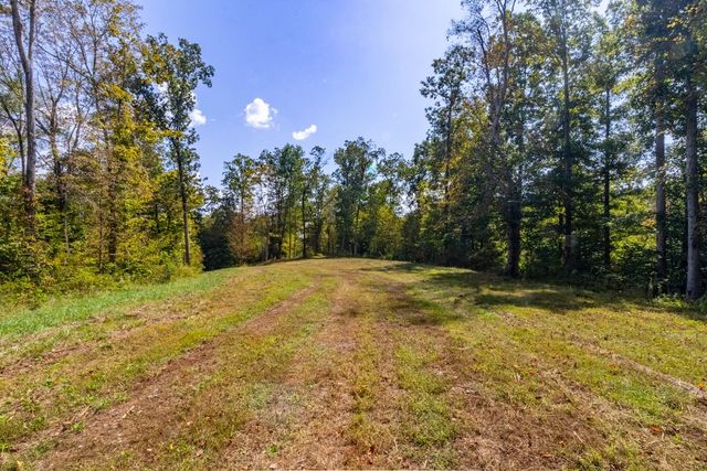 a view of a yard with trees