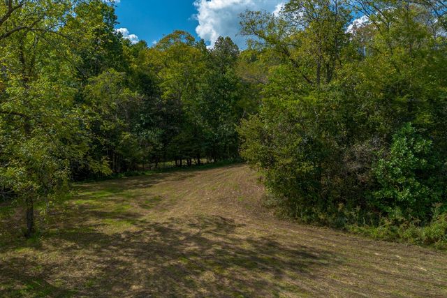 a view of a garden with a tree