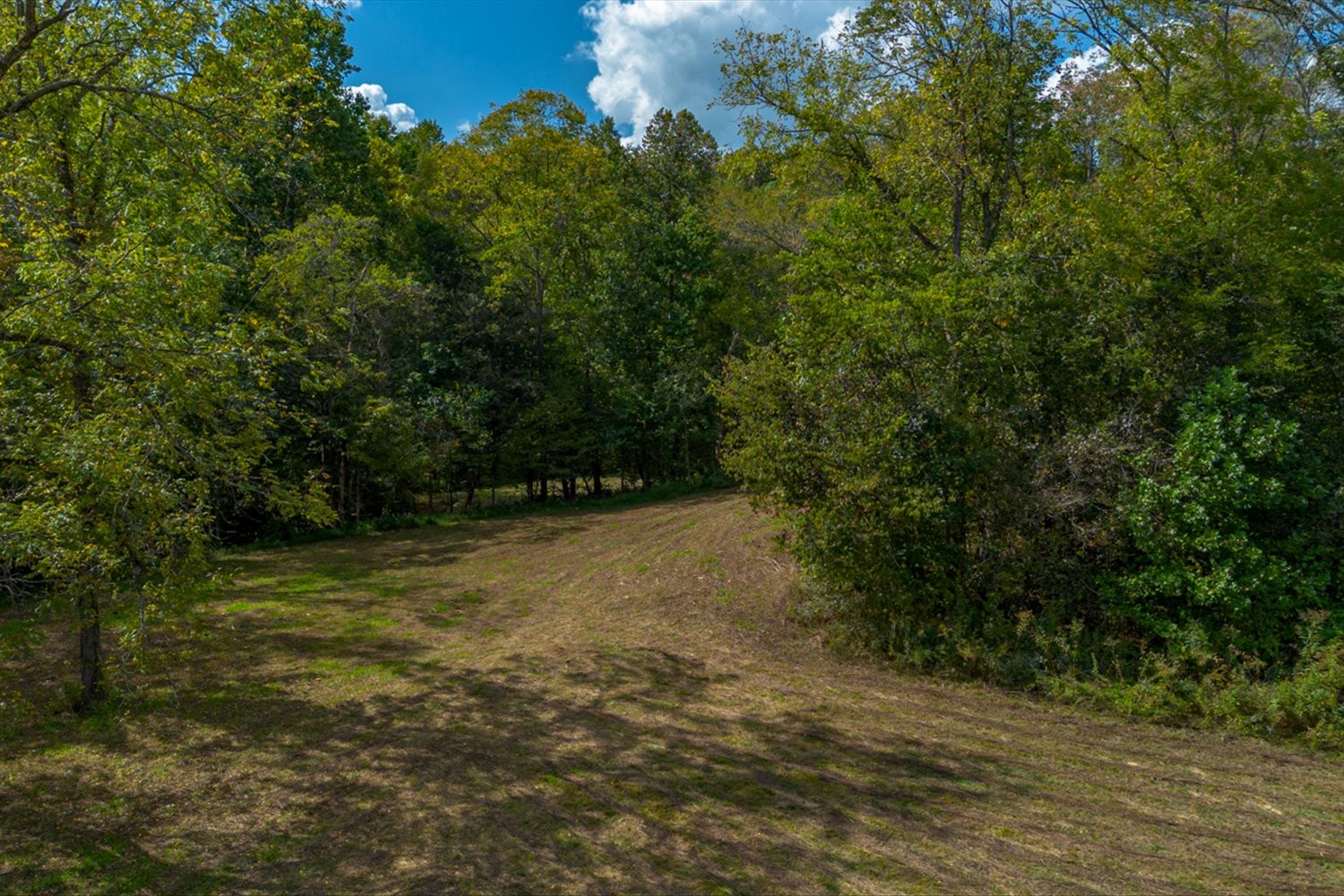 0 Casparis Road Columbia, TN 38401 - Photo 41 of 59 a view of outdoor space and yard