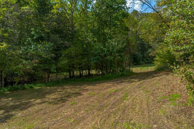 a view of a flower in a yard