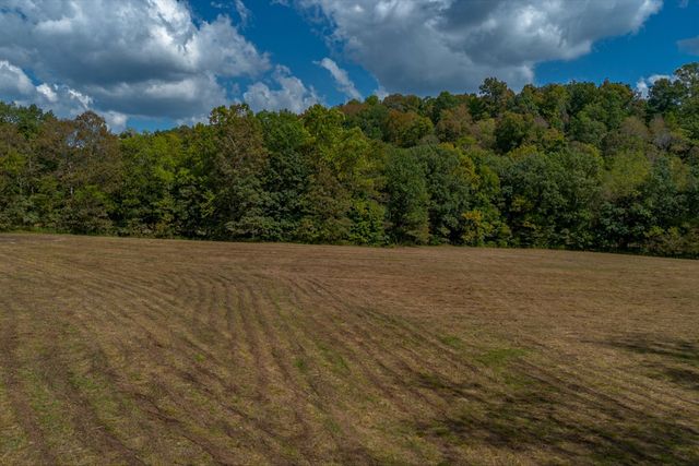 a view of a green field