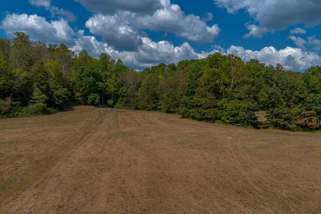 a view of a pathway both side of green field with trees