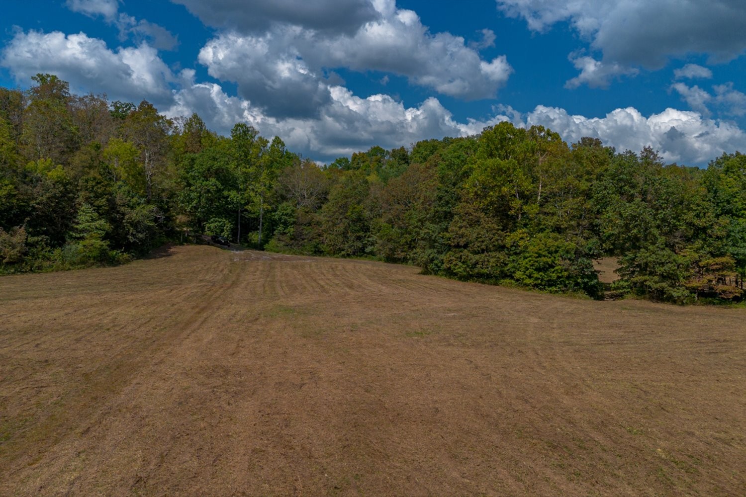0 Casparis Road Columbia, TN 38401 - Photo 45 of 59 a view of a field with a building in the background