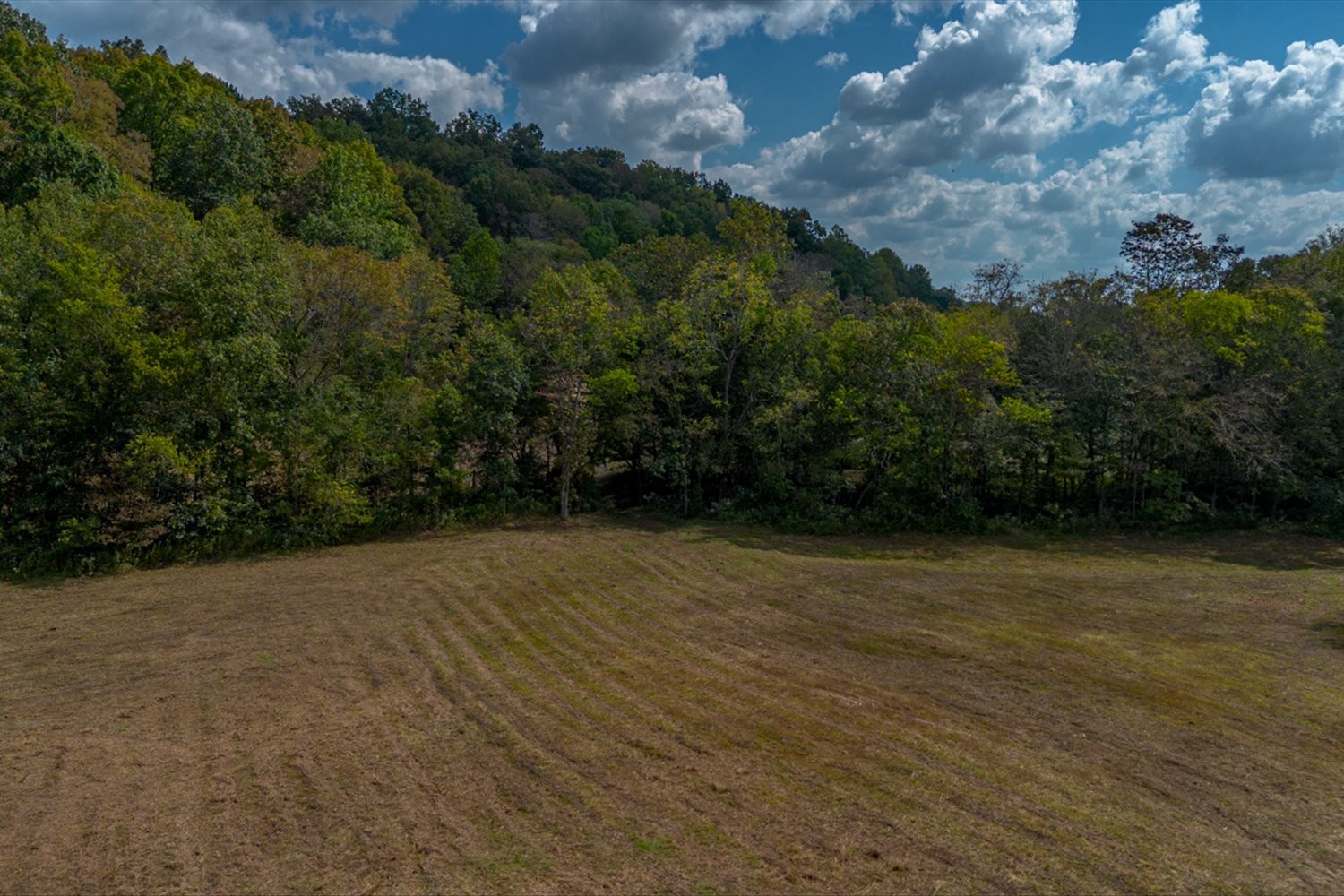 0 Casparis Road Columbia, TN 38401 - Photo 51 of 59 a view of a backyard of the house