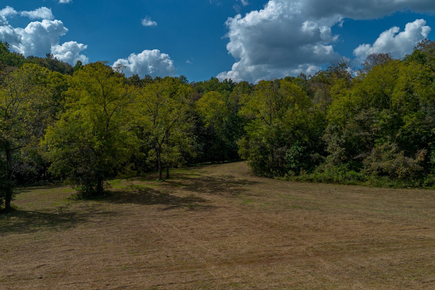 0 Casparis Road Columbia, TN 38401 - Photo 52 of 59 a view of a pathway both side of green field with trees