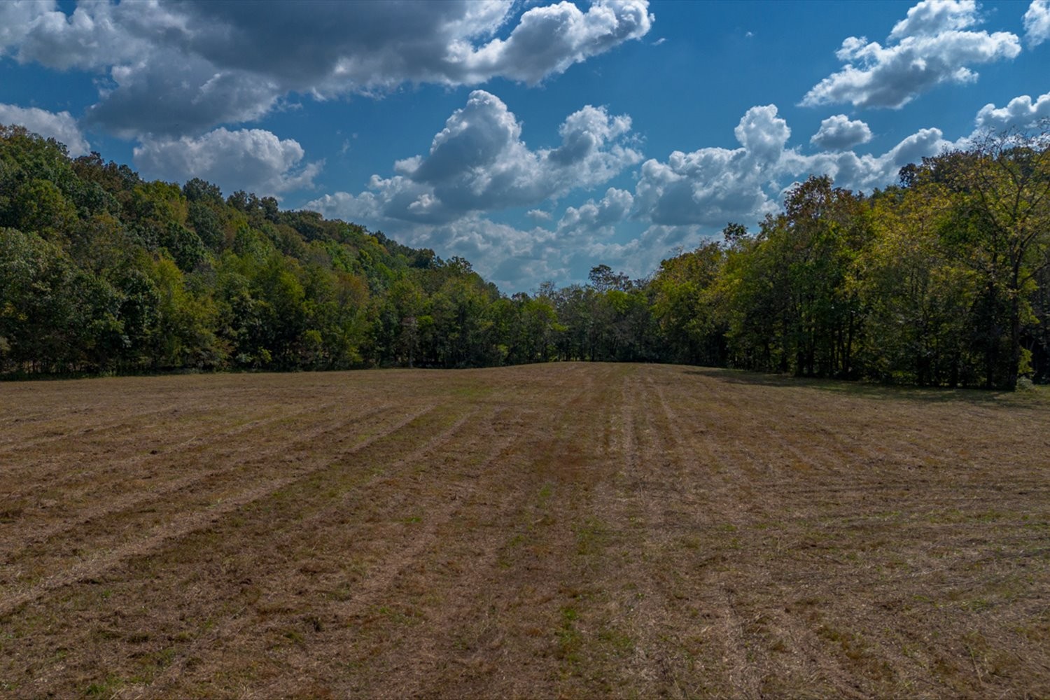0 Casparis Road Columbia, TN 38401 - Photo 53 of 59