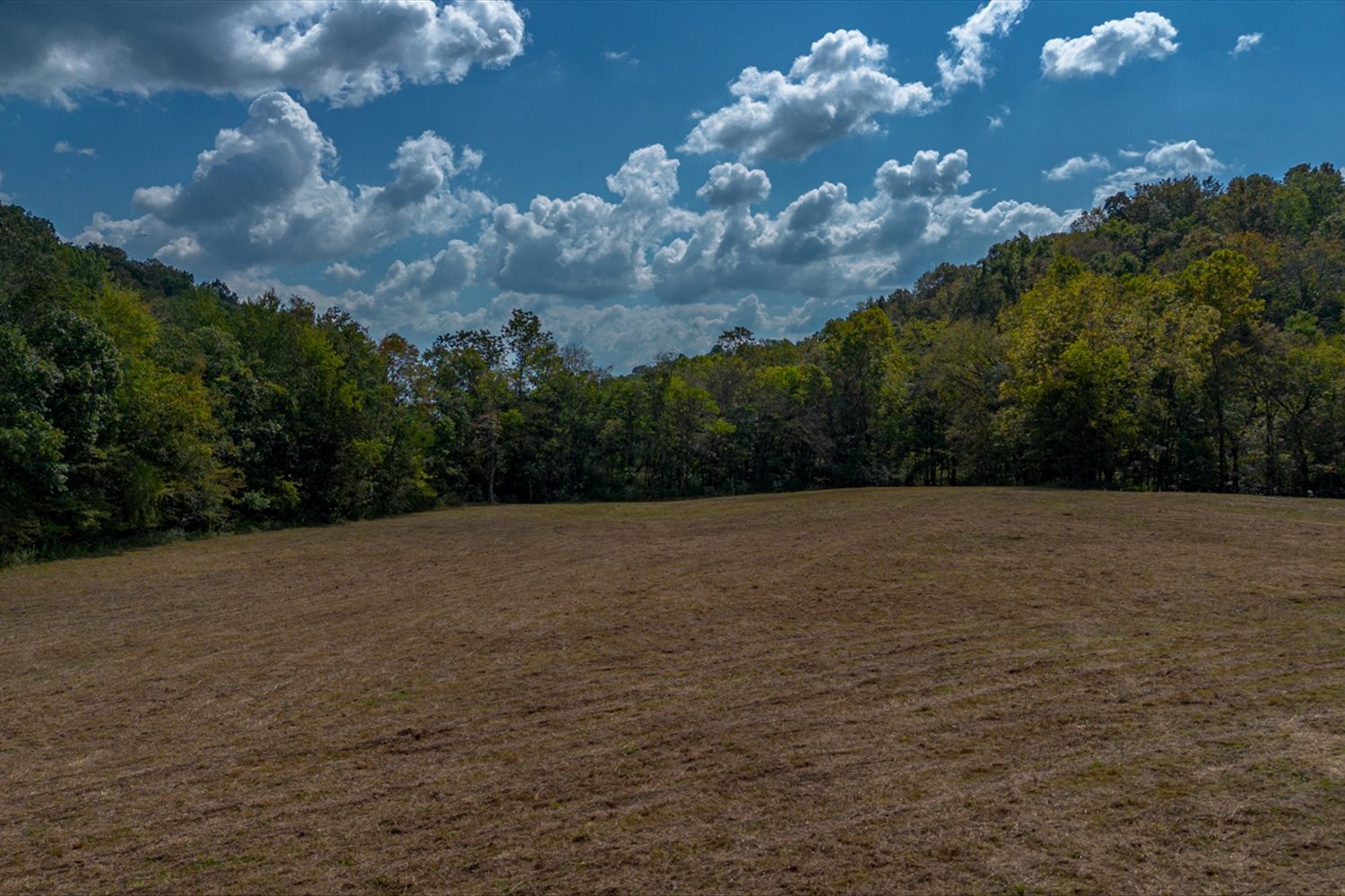 0 Casparis Road Columbia, TN 38401 - Photo 54 of 59 a view of outdoor space and yard