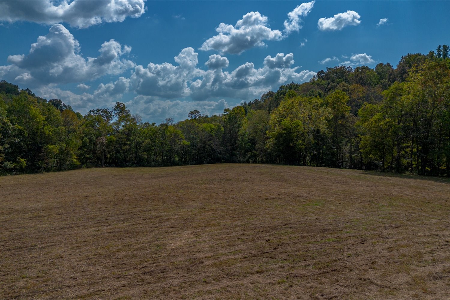 0 Casparis Road Columbia, TN 38401 - Photo 55 of 59 a view of outdoor space and yard