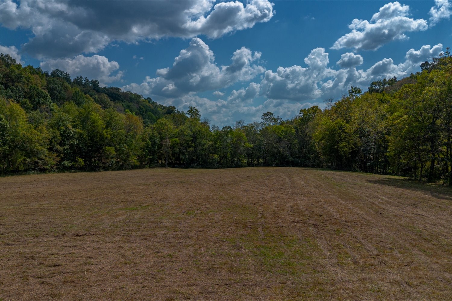 0 Casparis Road Columbia, TN 38401 - Photo 56 of 59 a view of outdoor space and yard