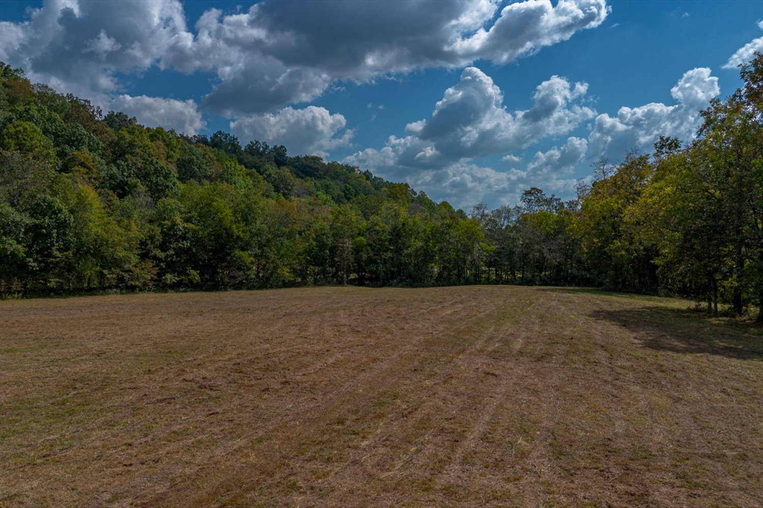 0 Casparis Road Columbia, TN 38401 - Photo 57 of 59