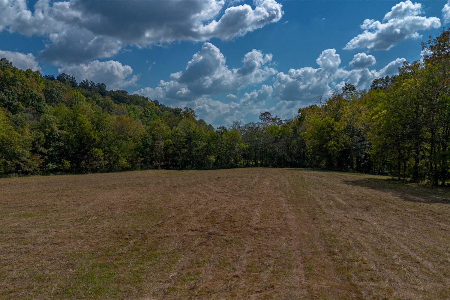 0 Casparis Road Columbia, TN 38401 - Photo 58 of 59 a view of outdoor space and yard