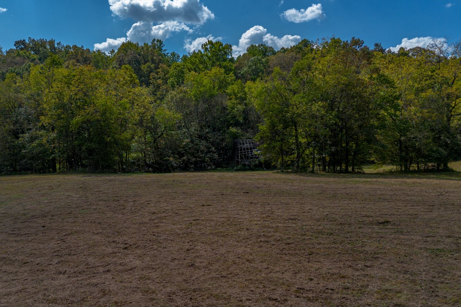0 Casparis Road Columbia, TN 38401 - Photo 59 of 59 a view of outdoor space and yard