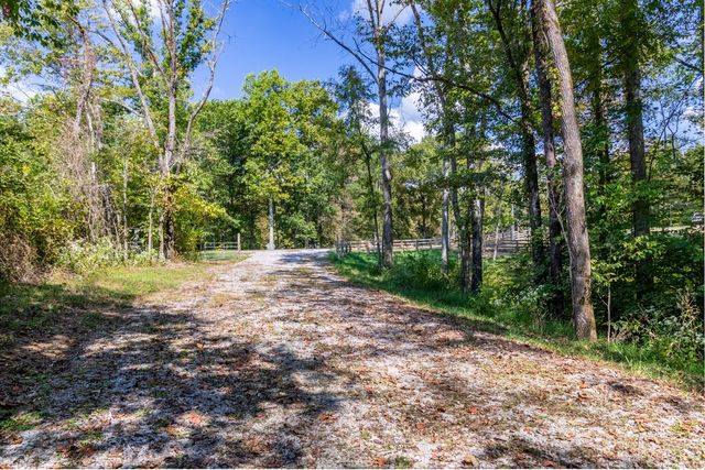 a view of a yard with plants and trees