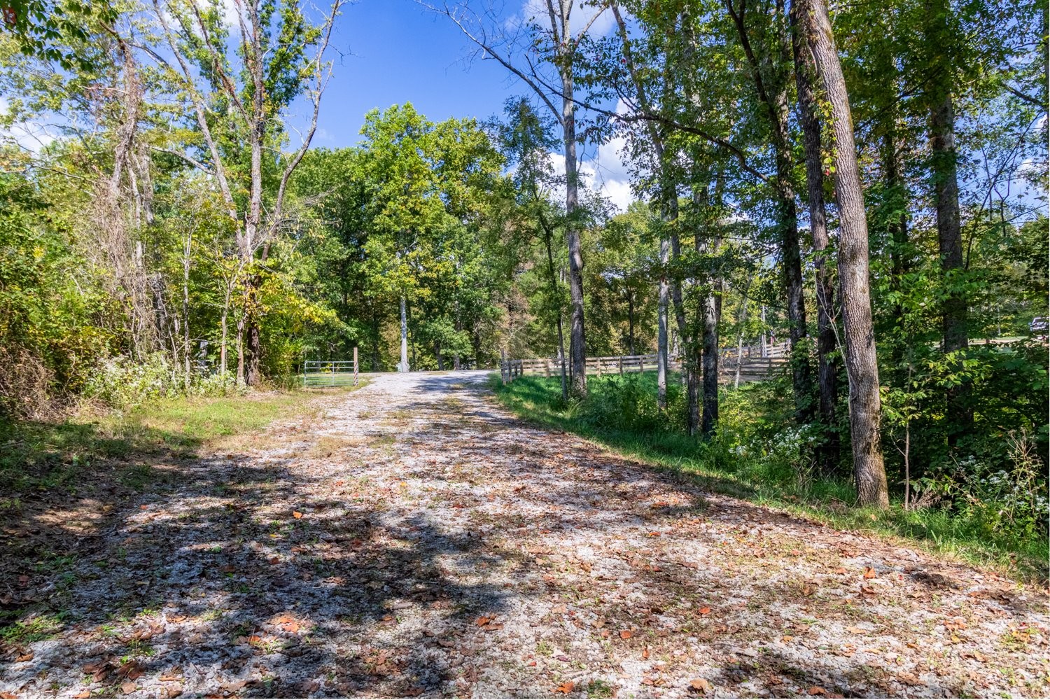 0 Casparis Road Columbia, TN 38401 - Photo 6 of 59 a view of a yard with plants and trees