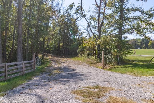 a view of a yard with plants and trees