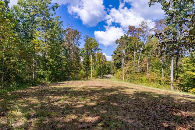 a view of outdoor space with trees all around