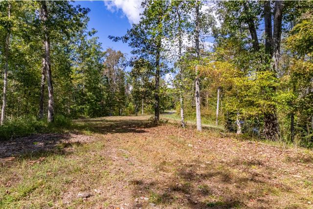 a view of a yard with plants and trees