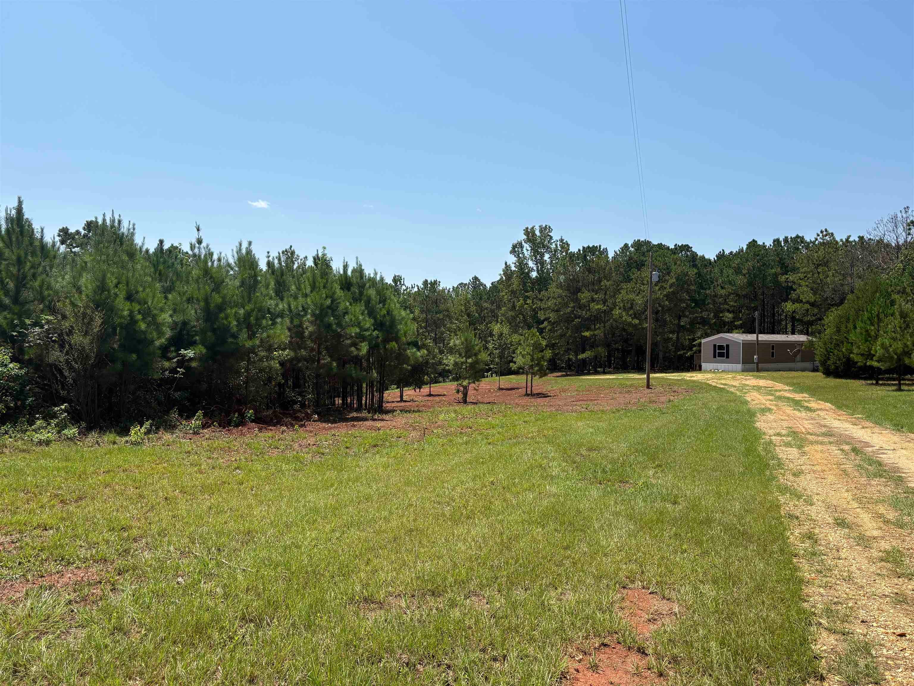 3875 North Mt Zion Road Honoraville, AL 36042 - Photo 6 of 14 Gallery Image 6