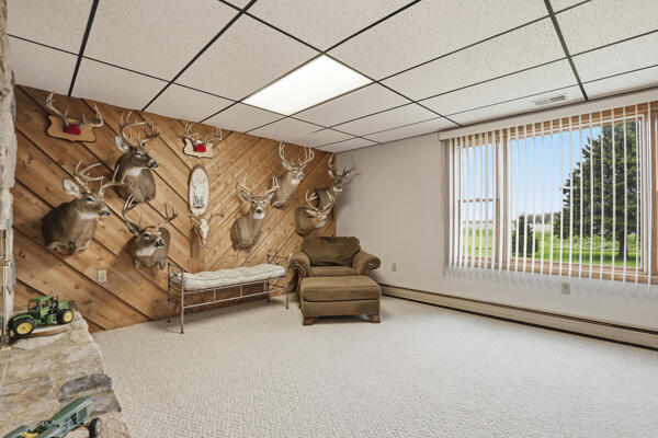 8835 McBride's Road Vestaburg, MI 48891 - Photo 26 of 49 livingroom4