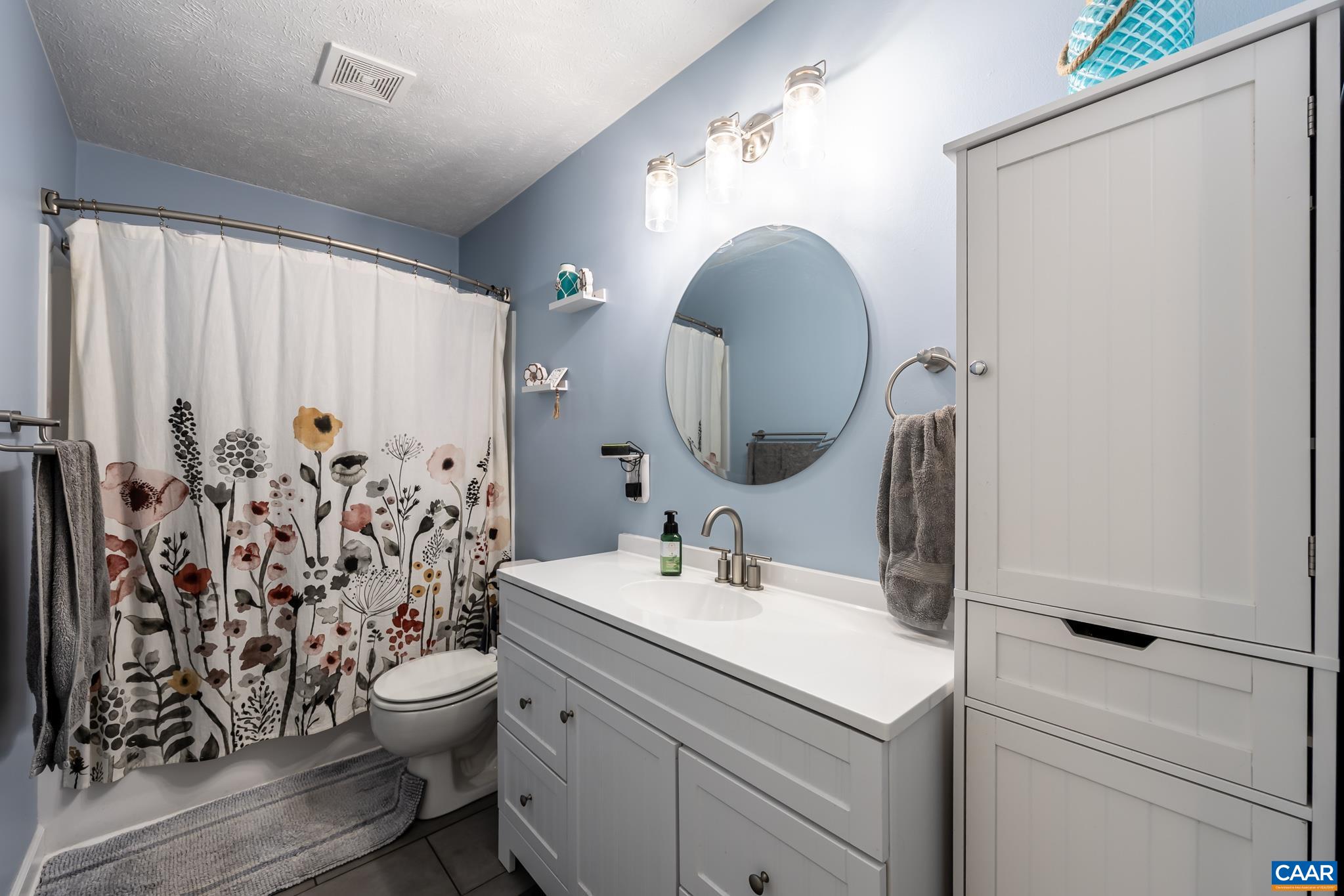 100 Holmes Run Road Stanardsville, VA 22973 - Photo 10 of 22 a bathroom with a sink toilet and shower