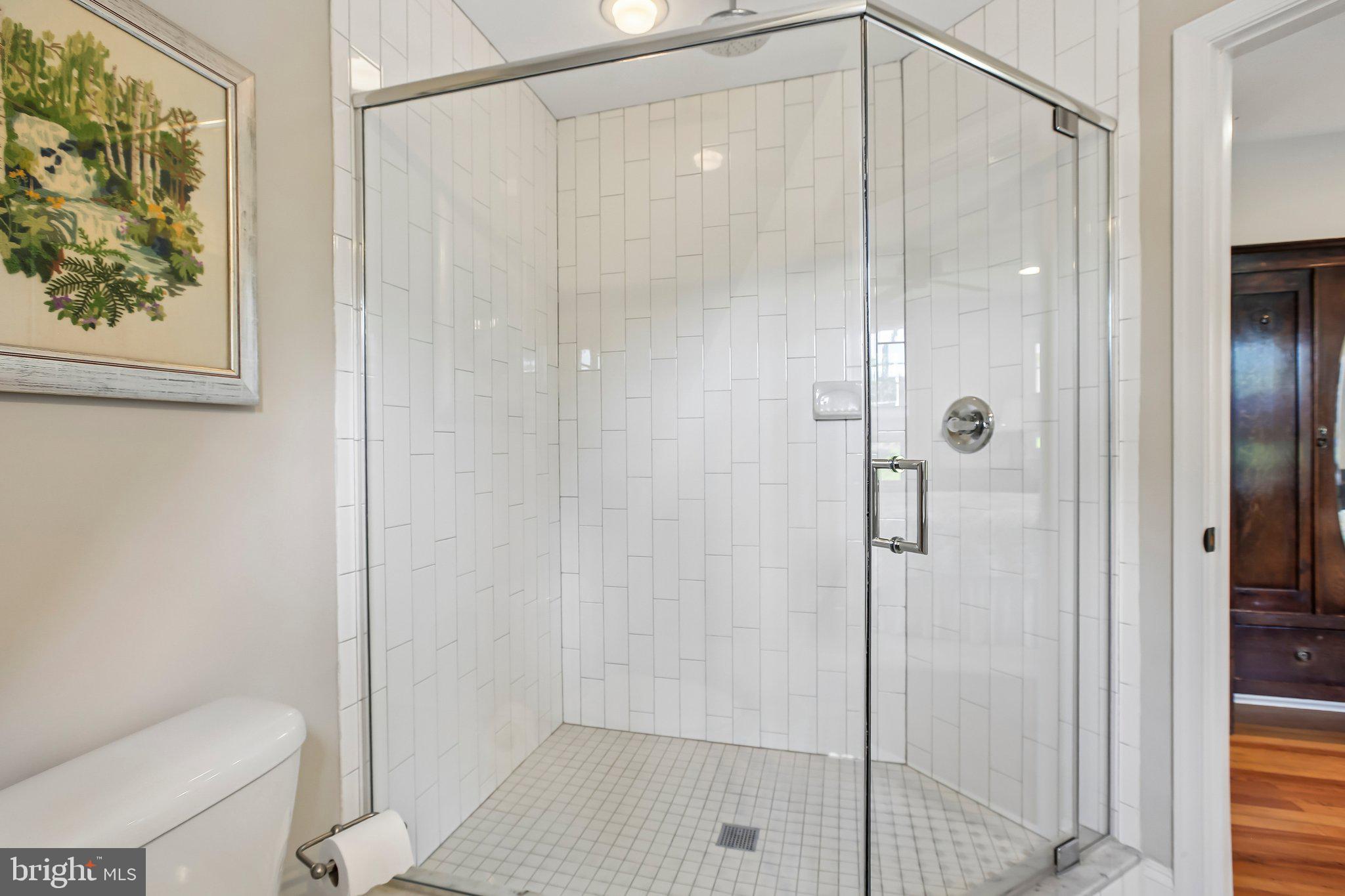 16 Overhill Road Catonsville, MD 21228 - Photo 29 of 47 Shower