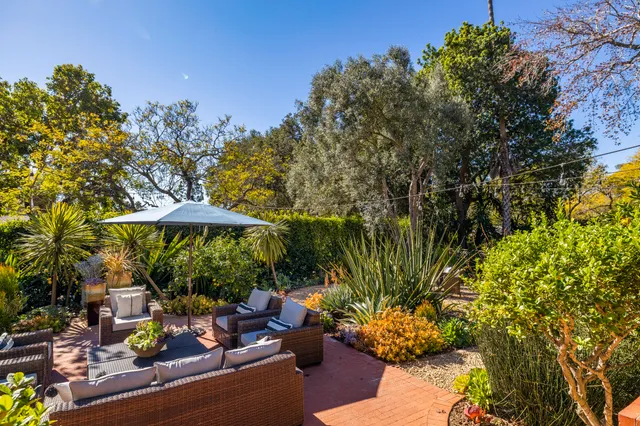 a view of a backyard with plants and a patio