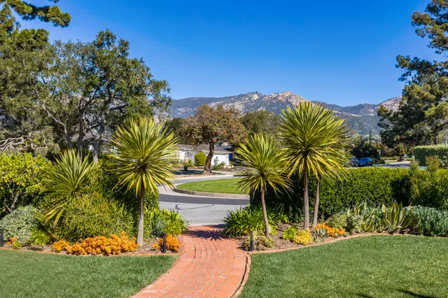 a view of a palm trees in front of a house