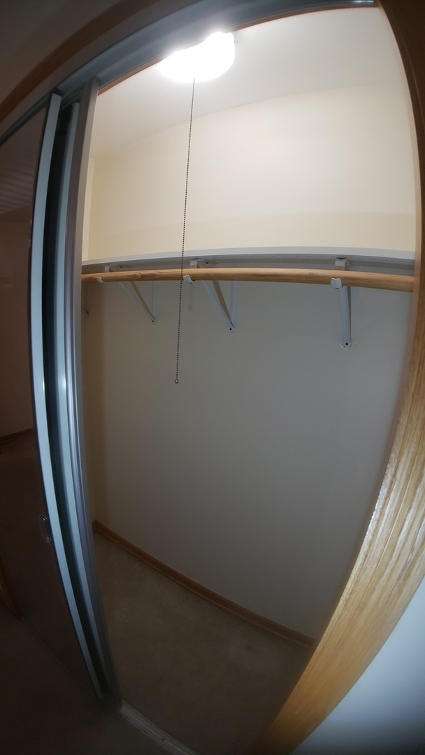 1124 Dunlop Avenue, Unit 2C Forest Park, IL 60130 - Photo 19 of 25 a close view of closet