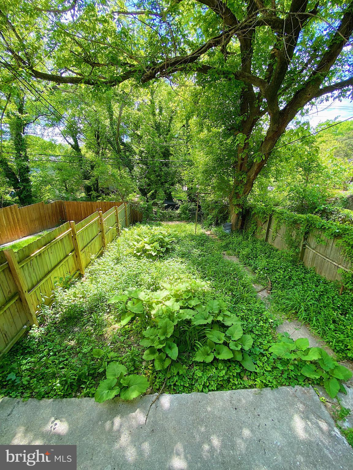 3926 Reisterstown Road Baltimore, MD 21215 - Photo 14 of 14 Gallery Image 14