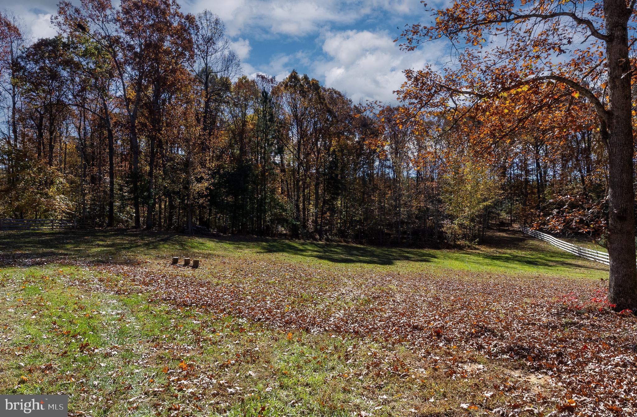 600 Signboard Road Bumpass, VA 23024 - Photo 43 of 49 a view of a backyard