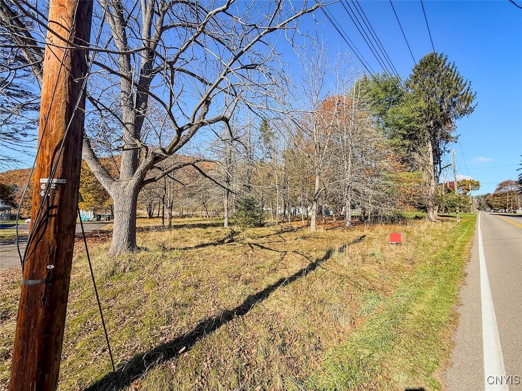 Olcott Road North Big Flats, NY 14814 - Photo 2 of 11